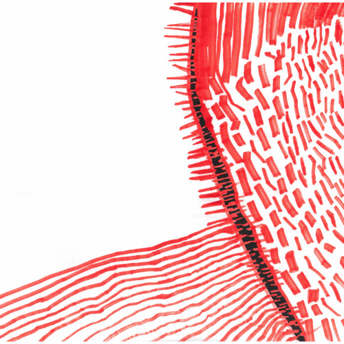 Ansturm der Wut. The rage onslaught..