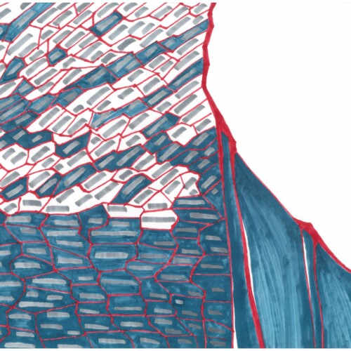 Dein Blut ist auch gefroren