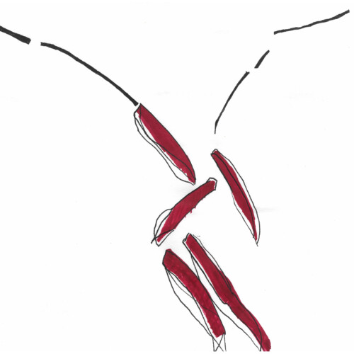 Der Anblick auf den Zusammenbruch The view on the breakdown