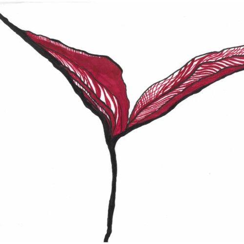 Der Anfang. Die ersten Symptomen der Selbstakzeptanz. The beginning. The first symptoms of self-acceptance.