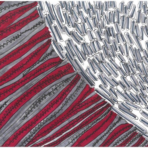 Landschaften der Grausamkeit IV